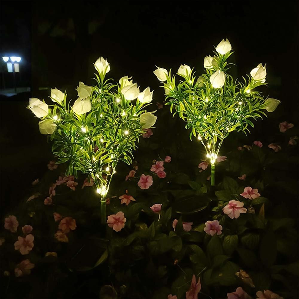 Decorative Lighting